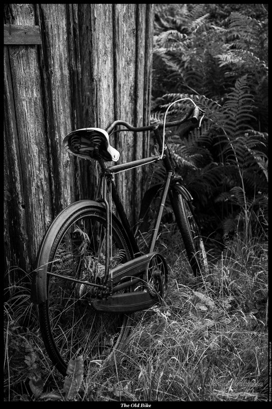 01-The Old Bike - (3840 x 5760).jpg