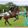 Bramham Horse Trials 2012 Horse Jump(49)