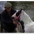 Appleby Horse Fair 2009(61)